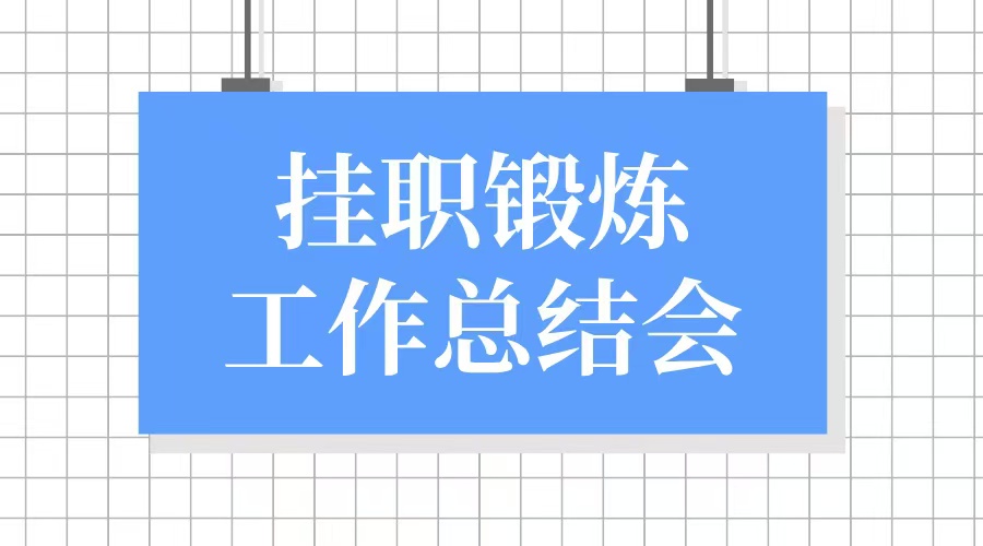 深圳市91大神组织召开第40批信访督查专员和第4批专员助理挂职锻炼总结会